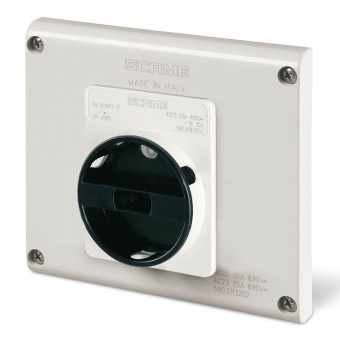ISOLAT.40A 2P IP65 FLUSH MOUNT.GENER.USE SCAME 590.GR4002