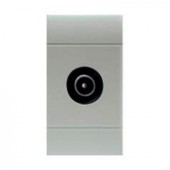 TV OUTLET MALE DIRECT GREY SCAME 101.6431.G